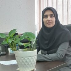 دکتر حمیده زحمتکش